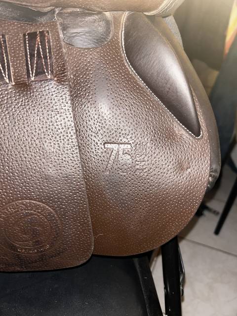 Selle Forestier 2025 ch&acirc;taigne 
