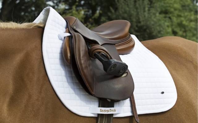 Tapis cso Back On Track 