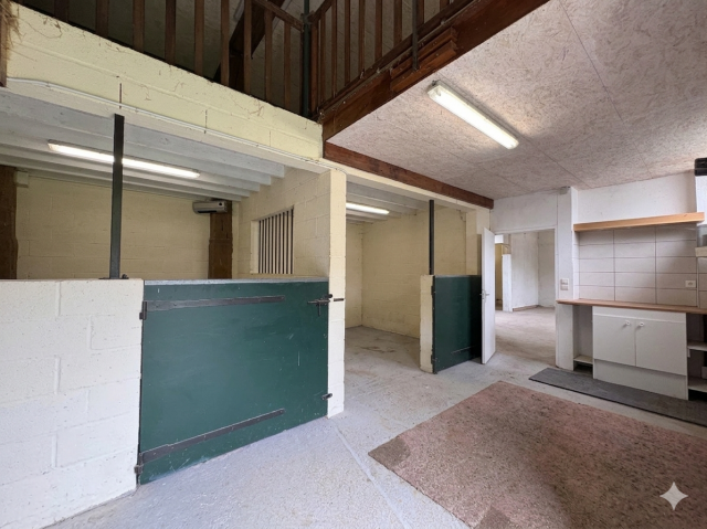 Propriété équestre privée avec potentiel gîte, 2 boxes