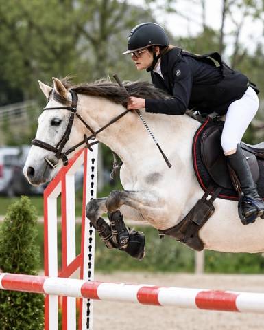 Poney à vendre puy de dôme 