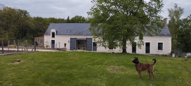 Longère vigneronne avec installations équestres