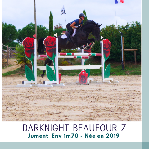 Superbe jument 7 ans cso env 1m70