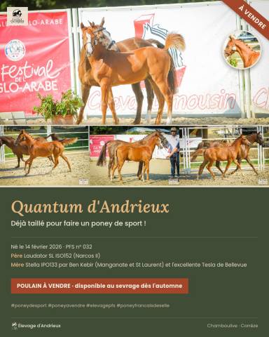 Poulain pfs 