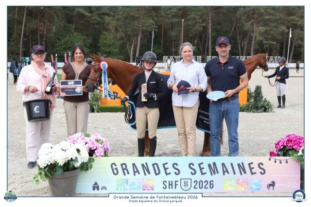 Poney de sport 