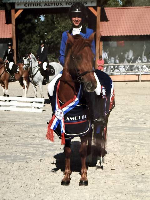 Poney c cso
