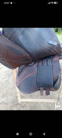 Selle Ikonic 