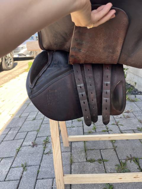 Selle Forestier Seoul &ndash; 2022 &ndash; 17,5 pouces &ndash; ar&ccedil;on 2A