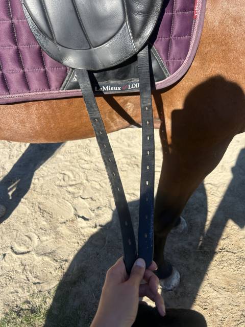 Selle dressage Forestier Aachen 17,5