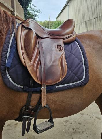 Selle de dressage darroze