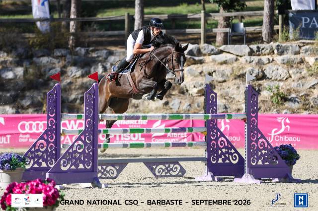 A vendre jument 8 ans par lauterbach/ideal de la loge