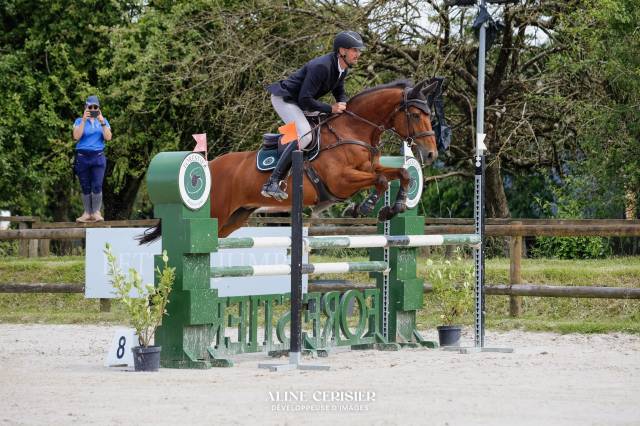 Hongre de 9 ans baie  1m68