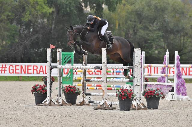 Top cheval amateur 