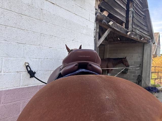 selle fouganza romeo cuir marron 