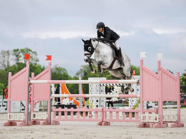 Cassalo – hongre de 11 ans – 1m68