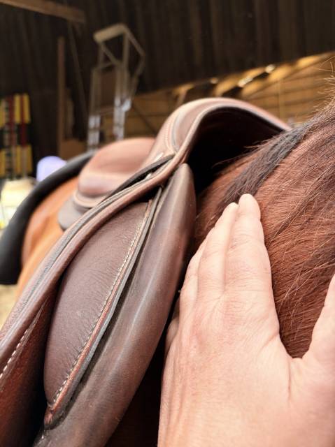 Selle Forestier S&eacute;oul 17,5" &ndash; 2AA &ndash; doubl&eacute;e veau &ndash; PRO 