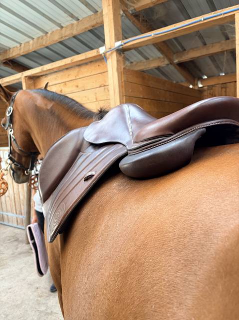 Selle Forestier S&eacute;oul 17,5" &ndash; 2AA &ndash; doubl&eacute;e veau &ndash; PRO 