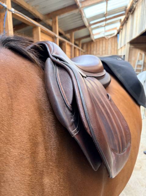 Selle Forestier S&eacute;oul 17,5" &ndash; 2AA &ndash; doubl&eacute;e veau &ndash; PRO 