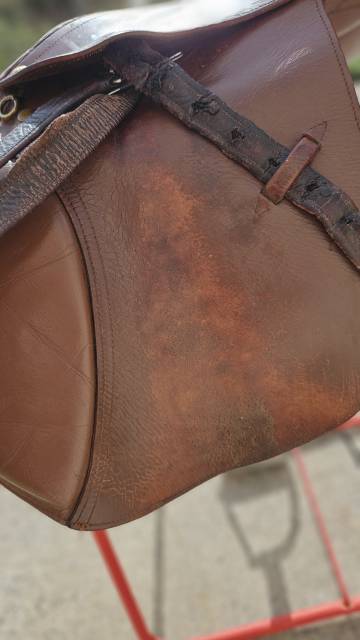 Selle cuir marron mixte 17,5" vendue avec accessoires 