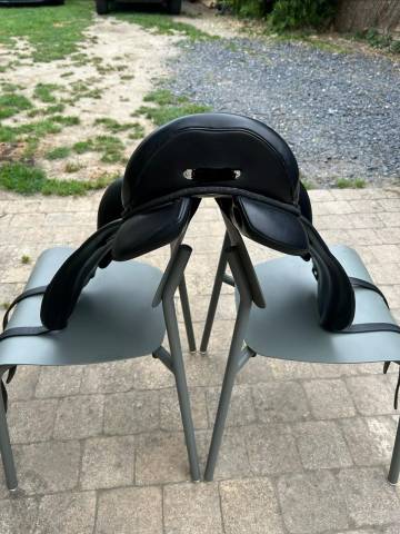 Forestier Aachen 16.5 2N Noir Toute veau