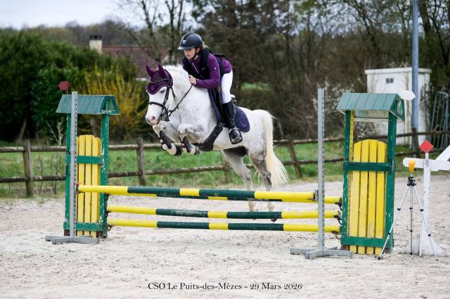 A vendre poney d