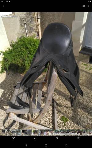 Selle Isabell Werth 16,5