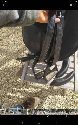 Selle Isabell Werth 16,5