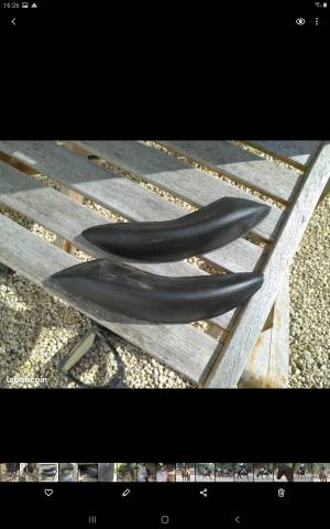 Selle Isabell Werth 16,5