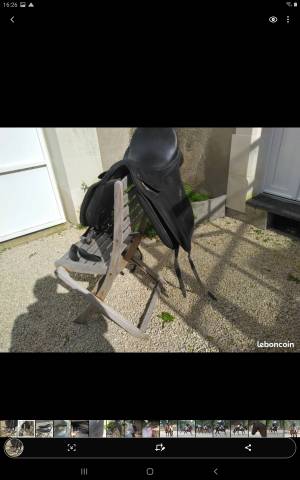 Selle Isabell Werth 16,5