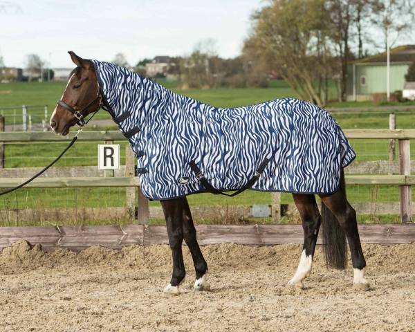 Chemise anti-mouches avec couvre-cou Zebra - Harry's Horse