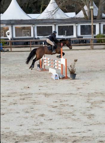 Cheval cso 120
