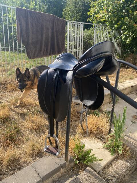 Selle de dressage ATEC Profi Germany 17,5