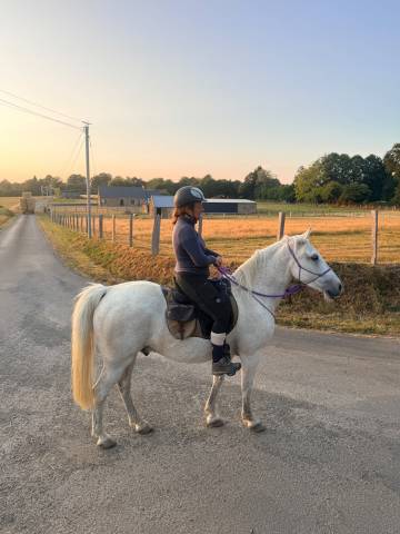 Hongre 15 ans exepriences forte en randonnée