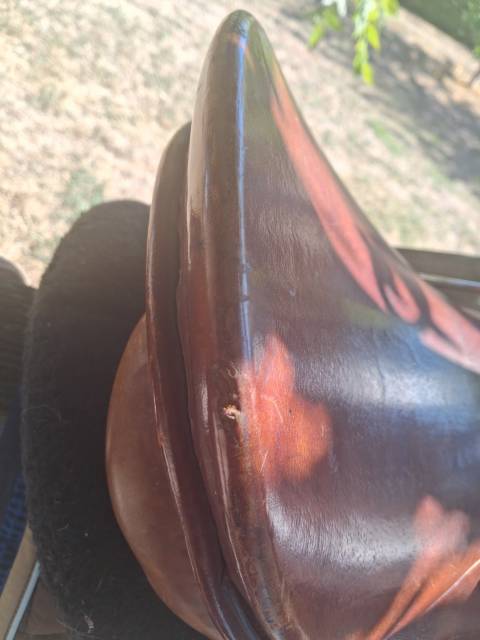 Selle de cheval St&uuml;bben Siegfried &eacute;quip&eacute;e