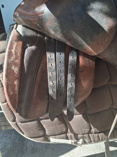 Selle de cheval St&uuml;bben Siegfried &eacute;quip&eacute;e