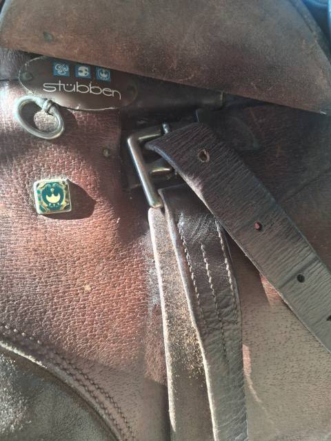 Selle de cheval St&uuml;bben Siegfried &eacute;quip&eacute;e