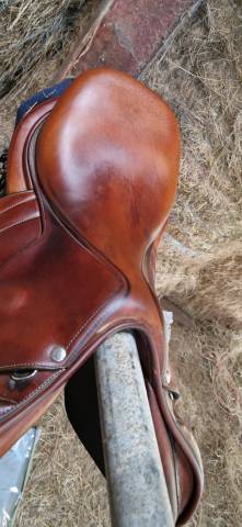 Selle Butet 17"
