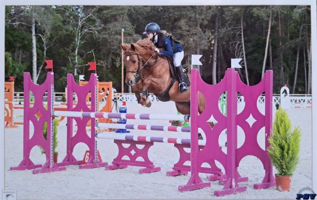 Recherche dp