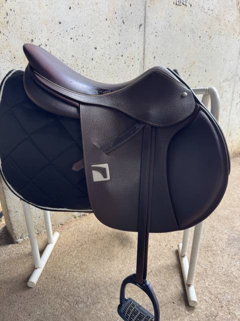 Selle Childeric CSO FAP