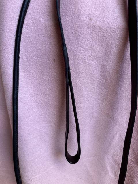 Ensemble Bridon / licol + de pr&eacute;sentation + longe cousu
