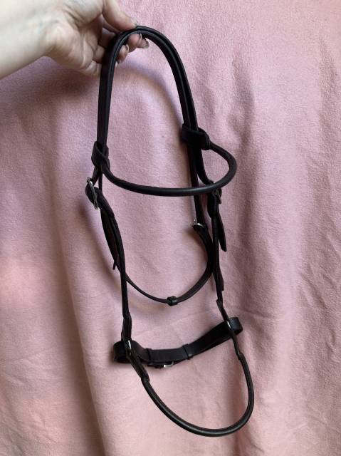 Ensemble Bridon / licol + de pr&eacute;sentation + longe cousu