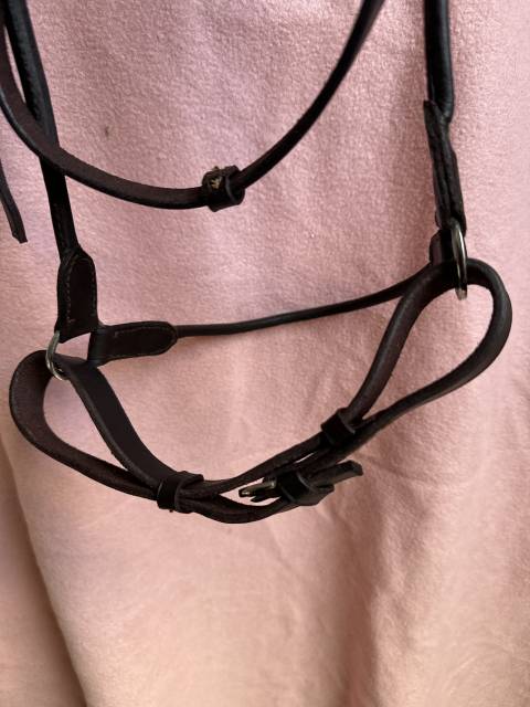 Ensemble Bridon / licol + de pr&eacute;sentation + longe cousu