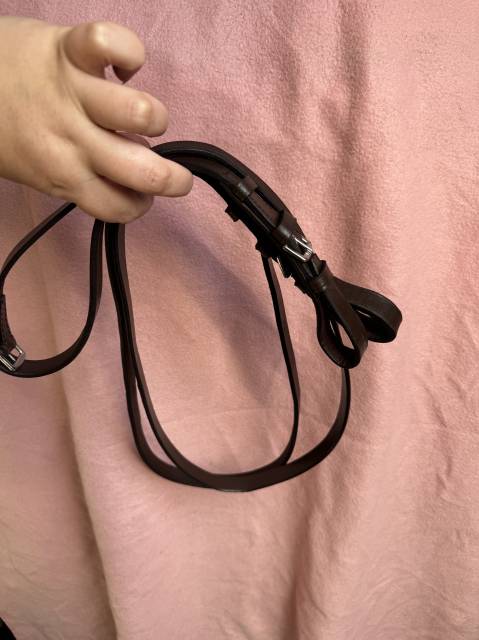 Ensemble bridon demi rond + r&ecirc;nes lisses T. Poney havan