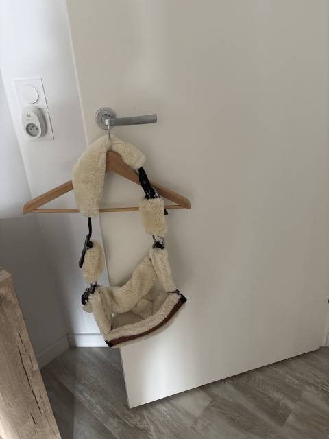Licol en mouton Penelope Leprevost