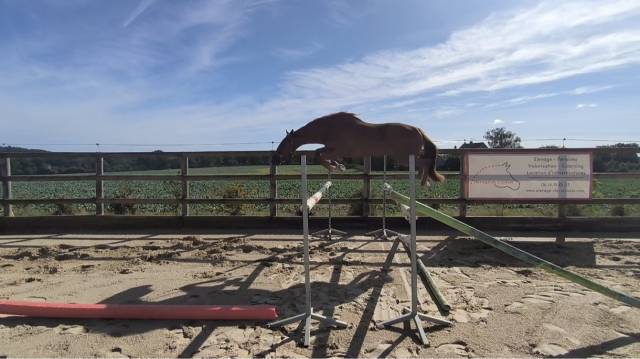 3 ans par candy de nantuel