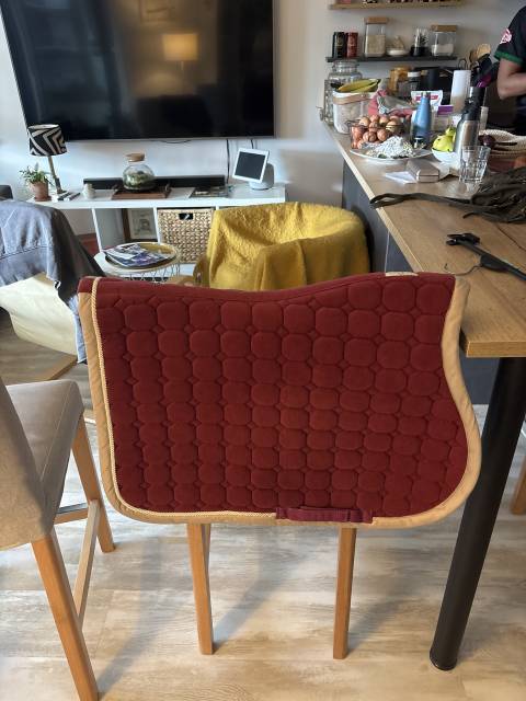 Tapis de selle 
