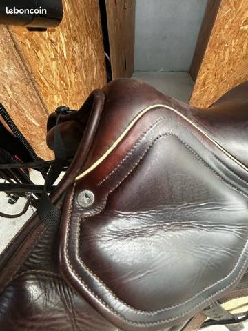 Selle CSO Okles Bianca 17,5 pouces, de 2018