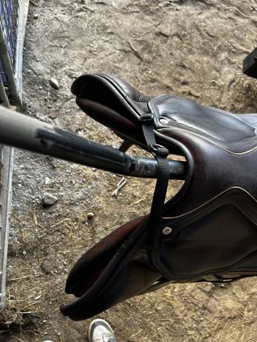 Selle CSO Okles Bianca 17,5 pouces, de 2018