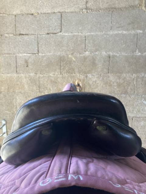 Selle chiberta o 