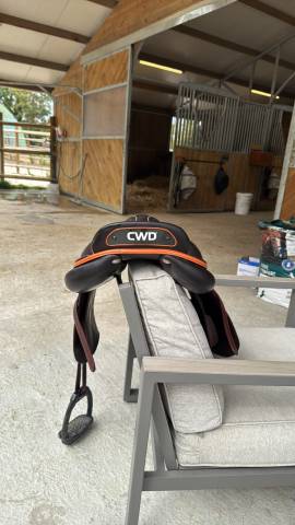 miss mademoiselle cwd 2018 17,5 