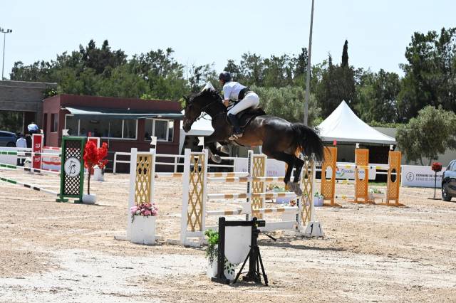 Cheval gros potentiel 